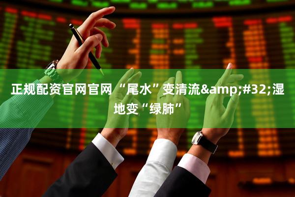 正规配资官网官网 “尾水”变清流 湿地变“绿肺”